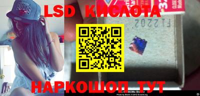 крисы Лесосибирск