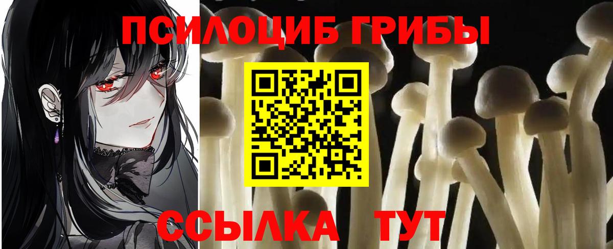 Галлюциногенные грибы Psilocybe  Псилоцибиновые грибы Magic Shrooms  Вход с VPN  Трёхгорный 